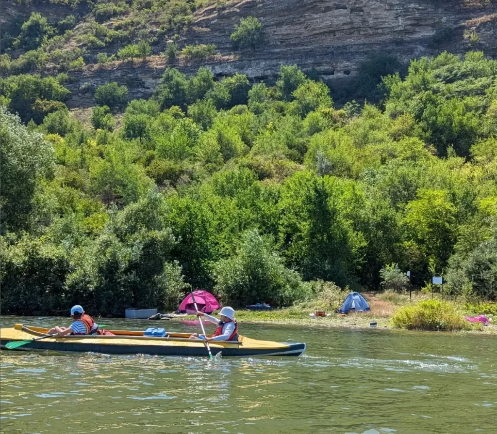 Kayaking Tours