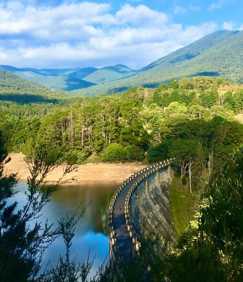 Hiking Trails in Yarra Valley