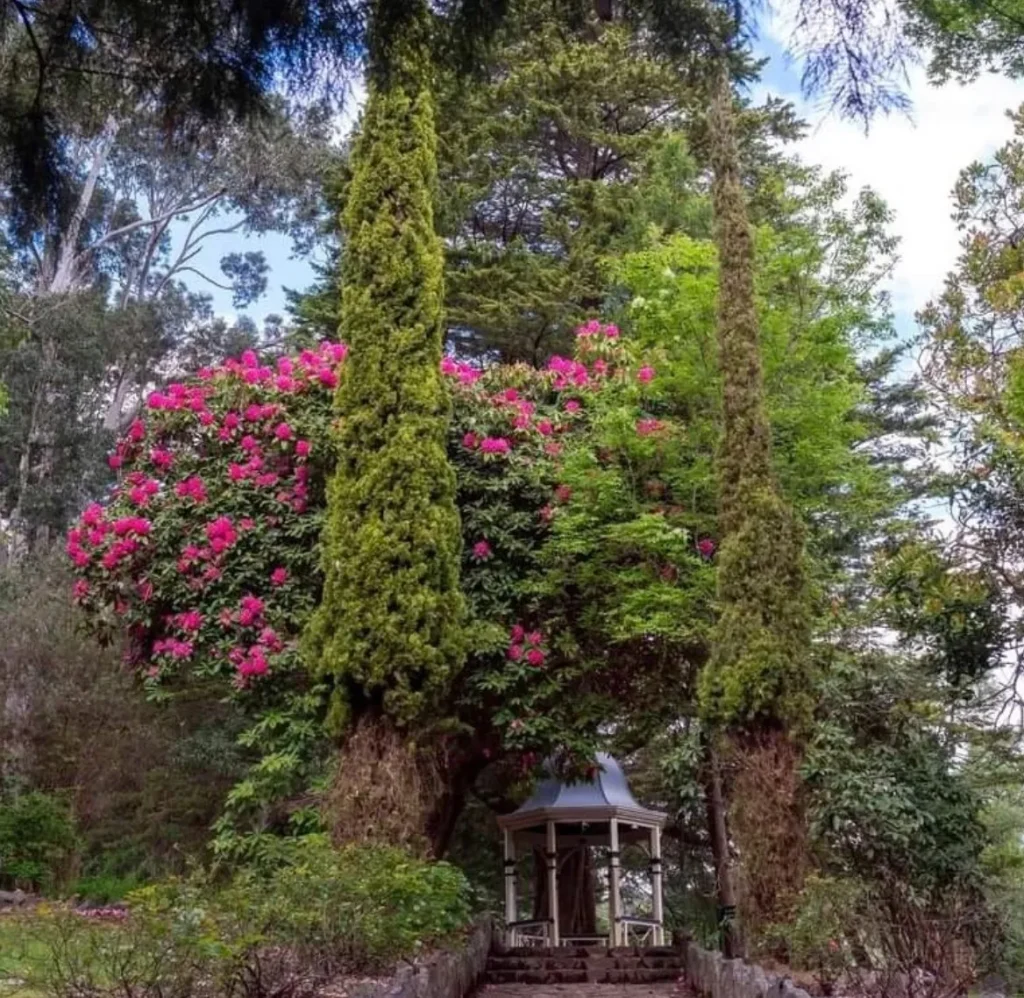 Maroondah Reservoir Park