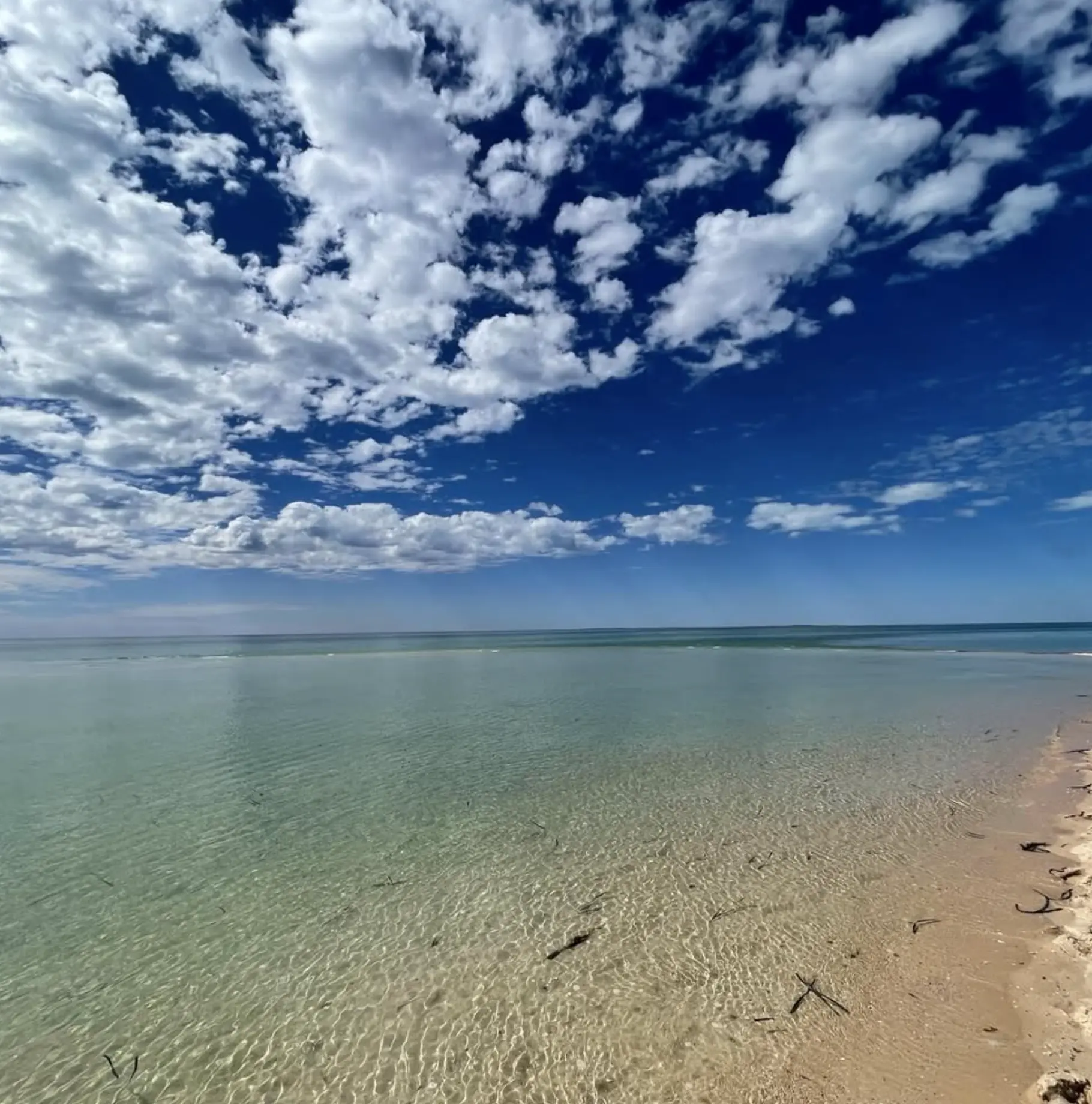 Shark Bay UNESCO World Heritage