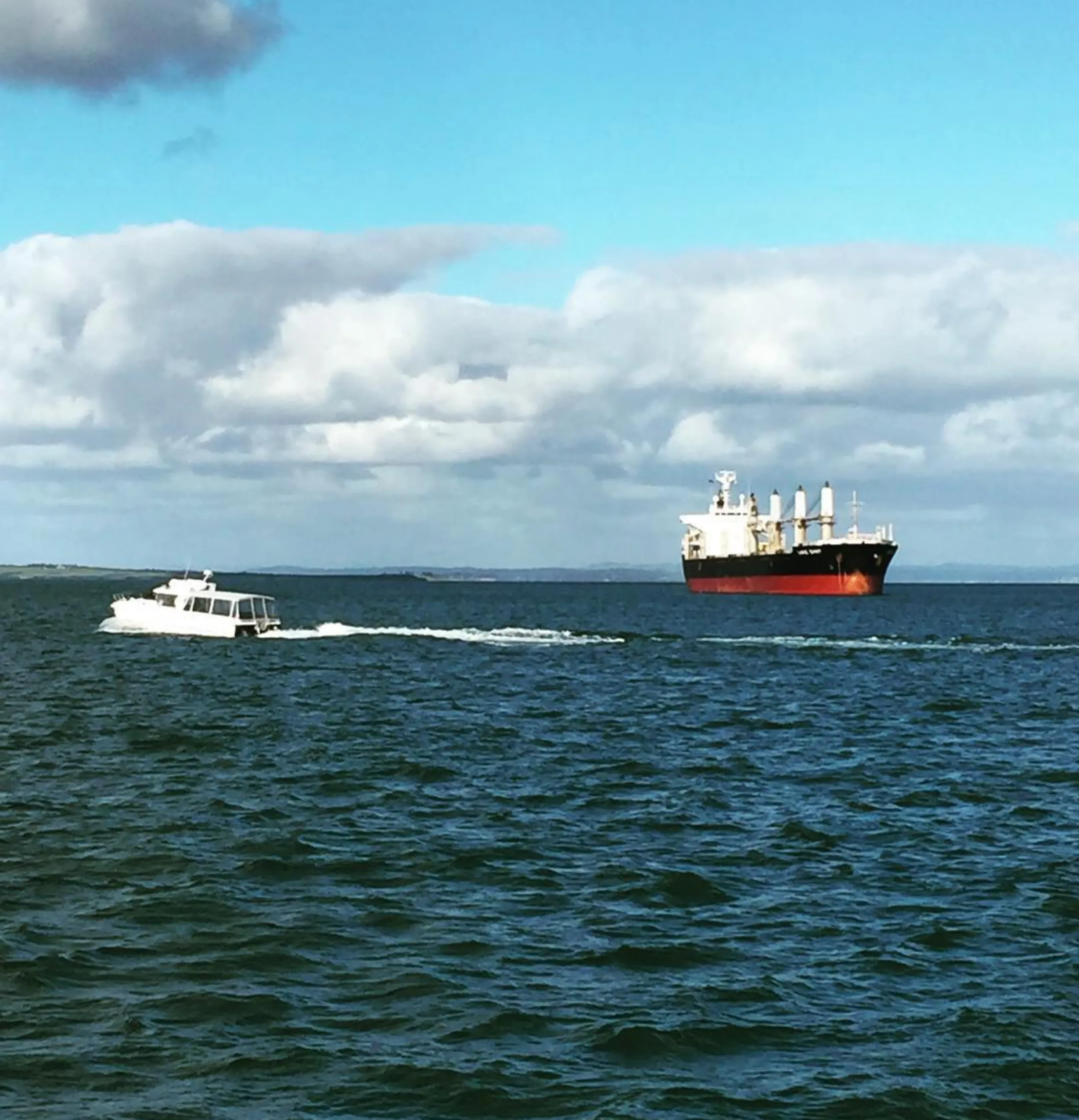 Is There a Ferry to Phillip Island? Routes & Travel Info