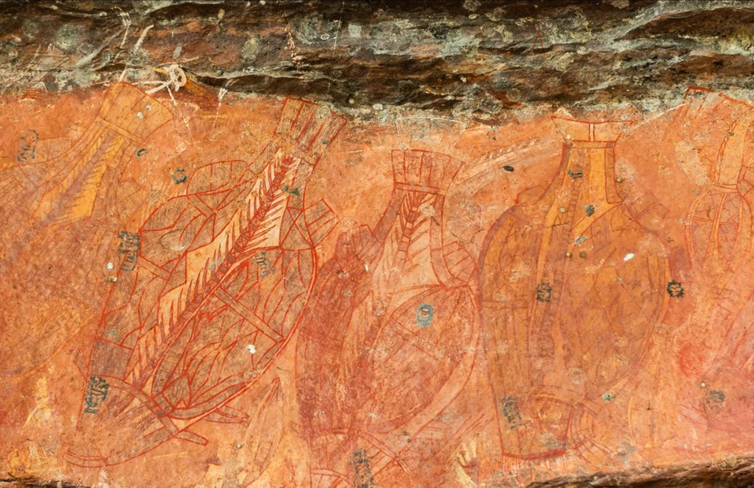 environmental patterns