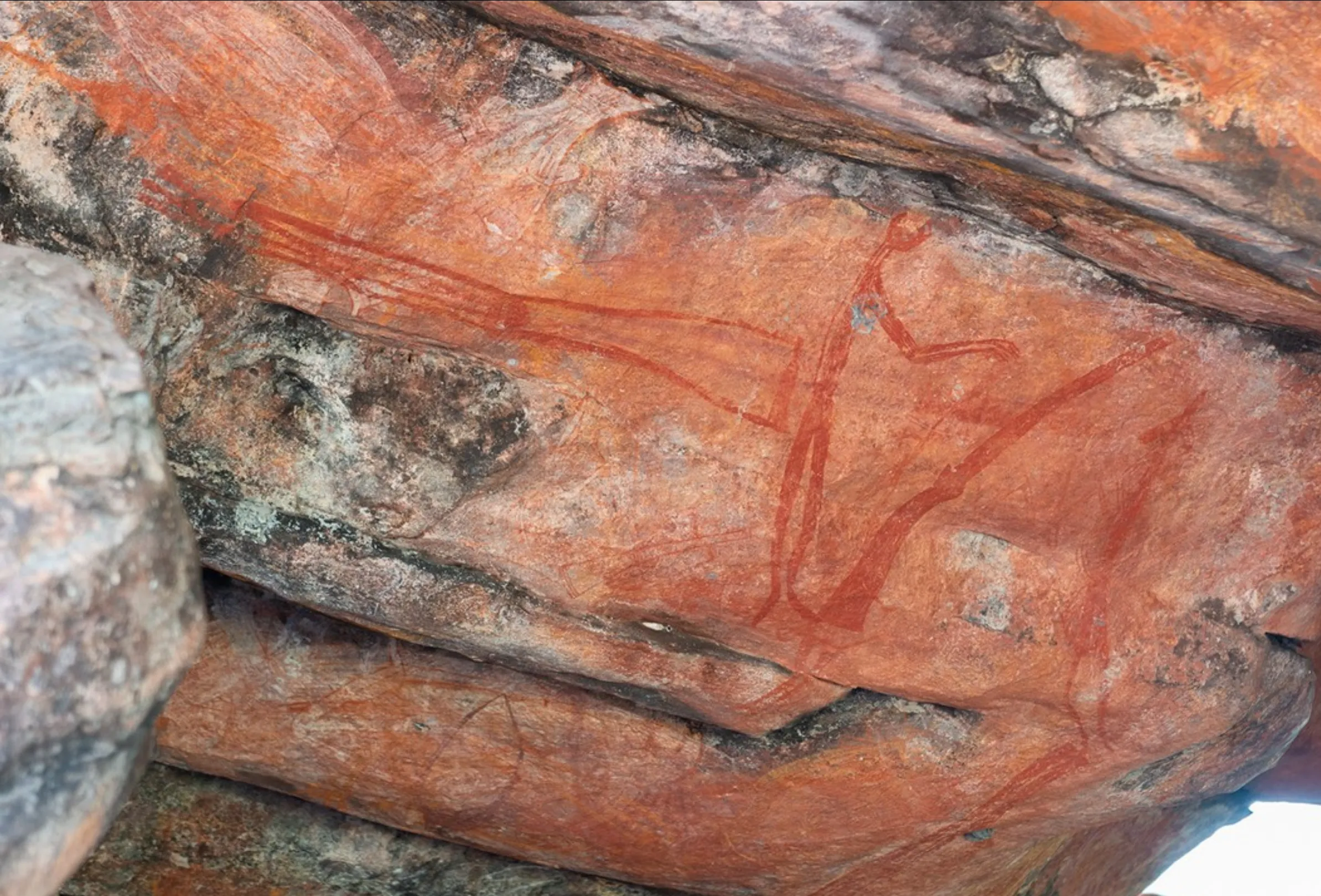 Why is Kakadu Rock Art Important? History & Sites