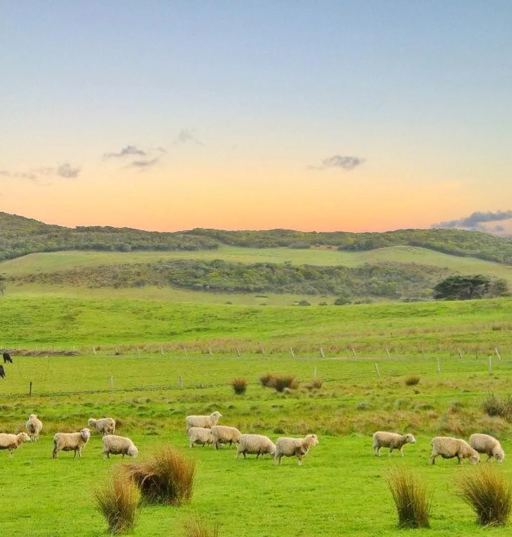 Is A 3-Day Multi-Day Hike Along The Great Ocean Road Worth It, And How Do You Plan It Properly?